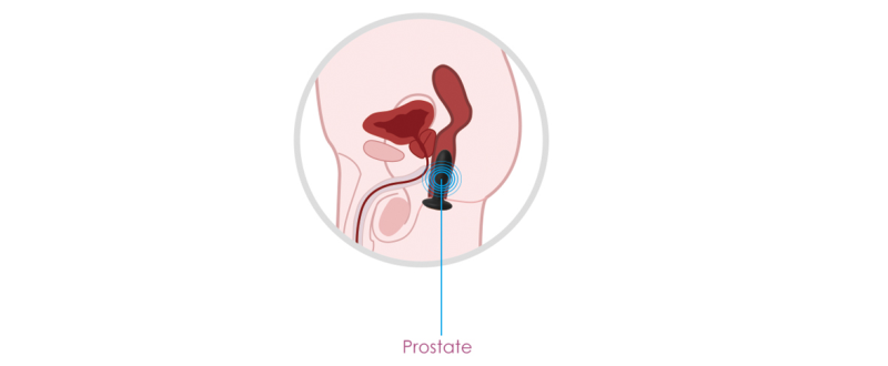 Product Made For Male,it Can Massage Male's Prostate plug in toy