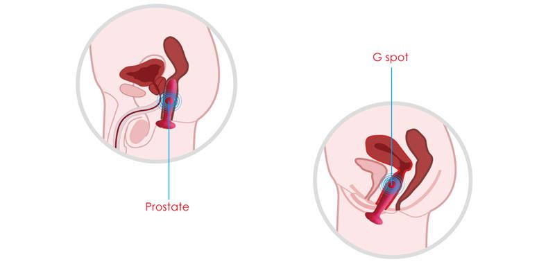 Product Made For Male And Female,it CanMassage Male's Prostate